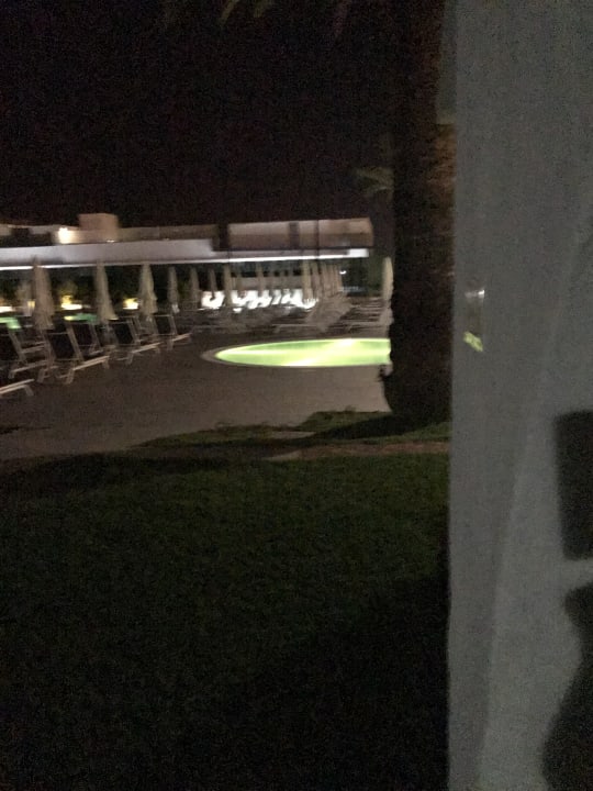 Pool Canary Garden Club