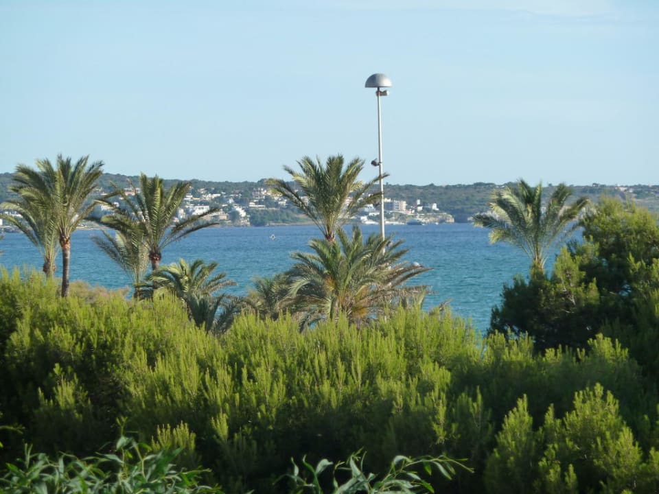 Vue sur mer Aparthotel Houm Plaza Son Rigo