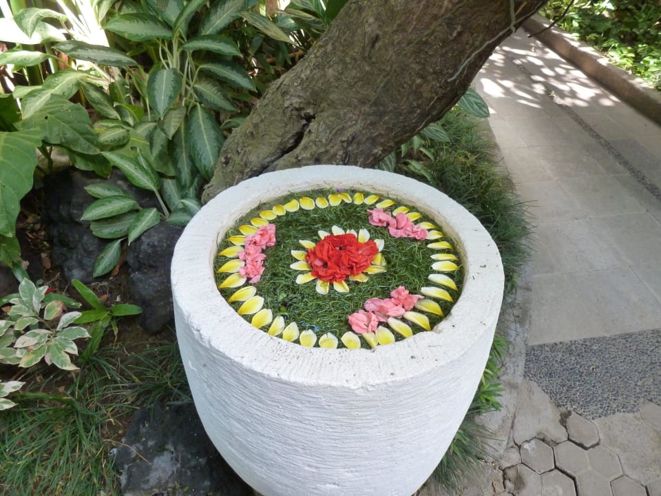 Tägliche Blütenkunst Ramayana Resort & Spa