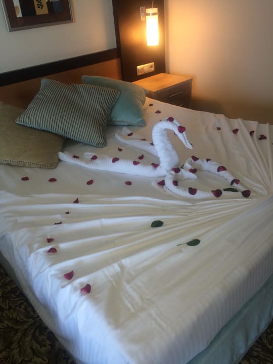 Flitterwochen Royal Wings Hotel