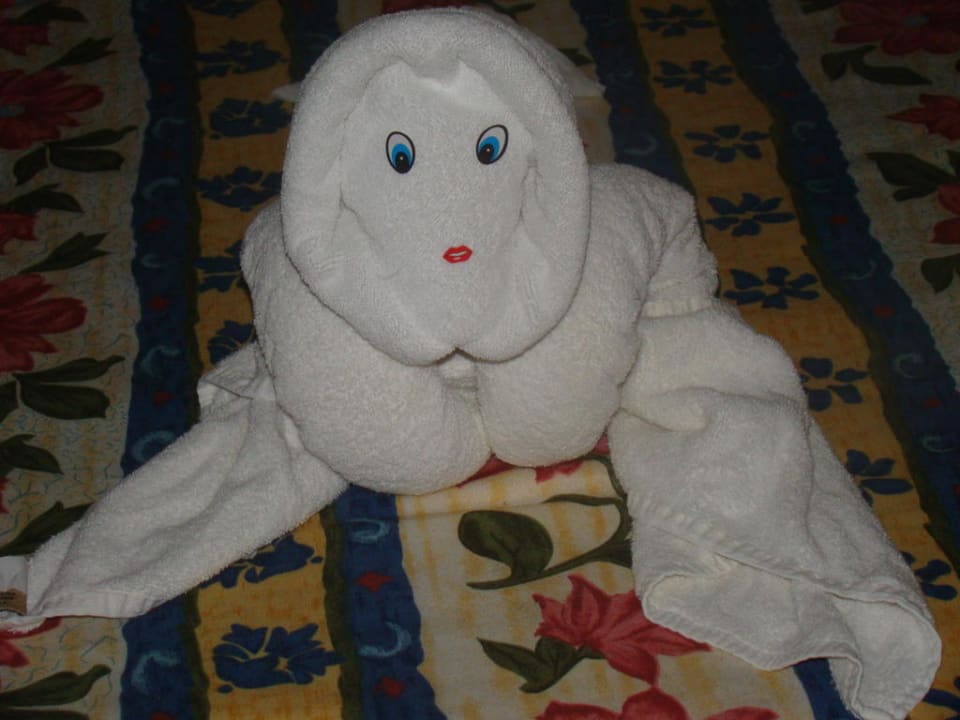 Tägliche Überraschungen der Reinigungskräfte Catalonia Royal Tulum Beach & Spa Resort - Adults only