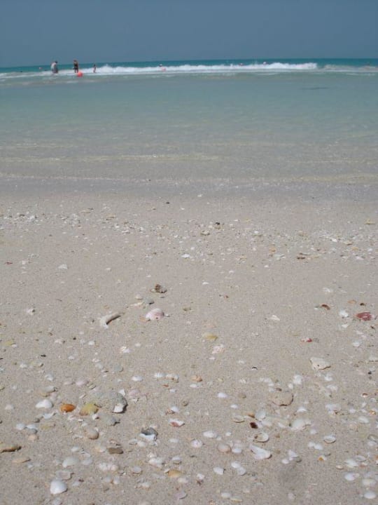 Strand bei Ebbe Hilton Dubai Jumeirah