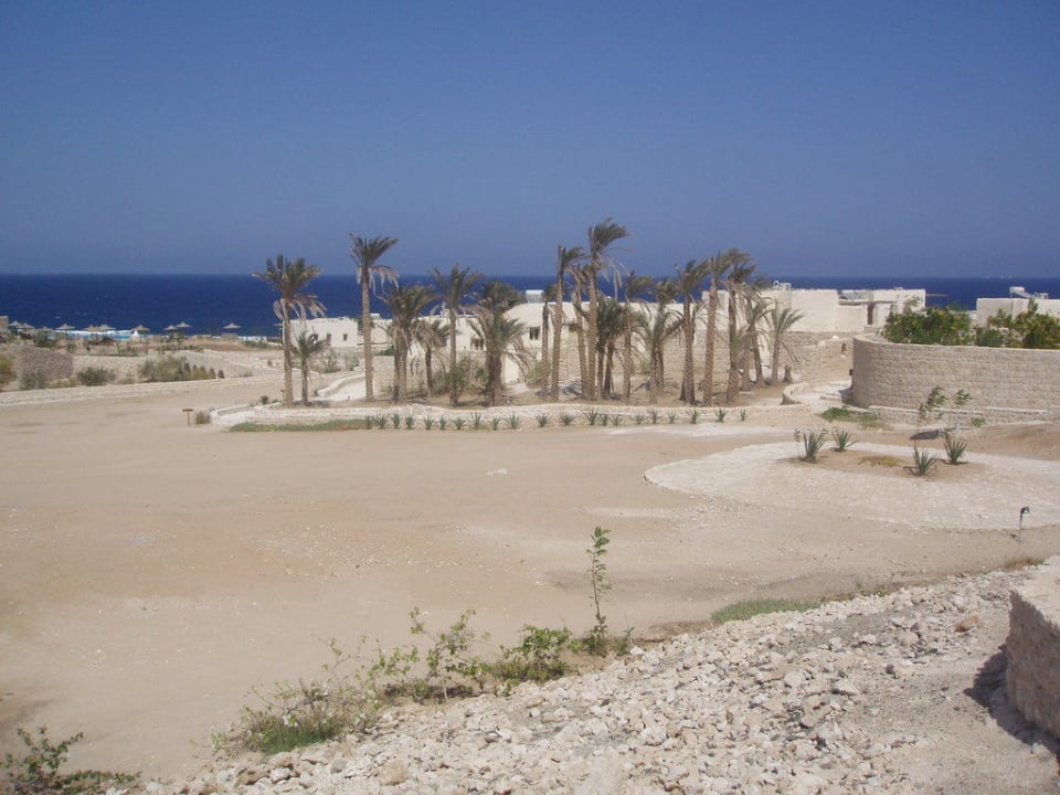 Außenansicht The Oasis Dive Resort