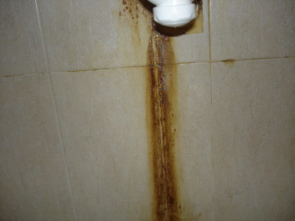 Bad Wyndham Alltra Punta Cana