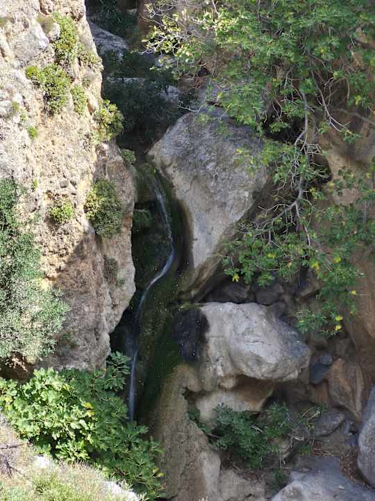 Pool Hotel Petra Mare