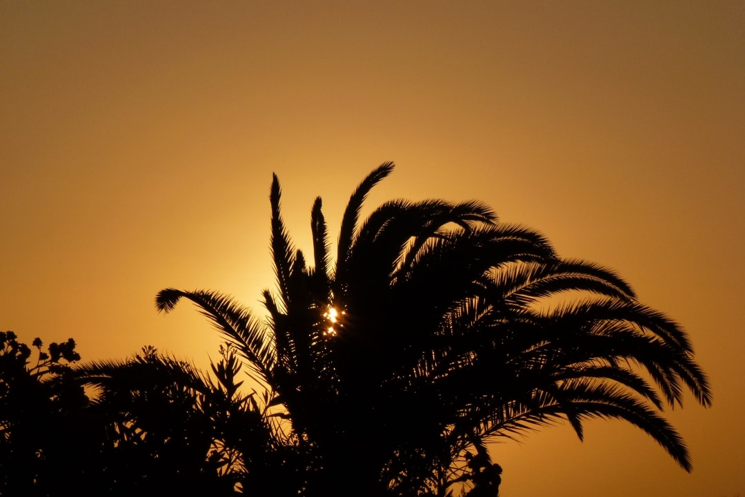 Sonnenaufgang Zimmer 158 allsun App.-Hotel Esquinzo Beach