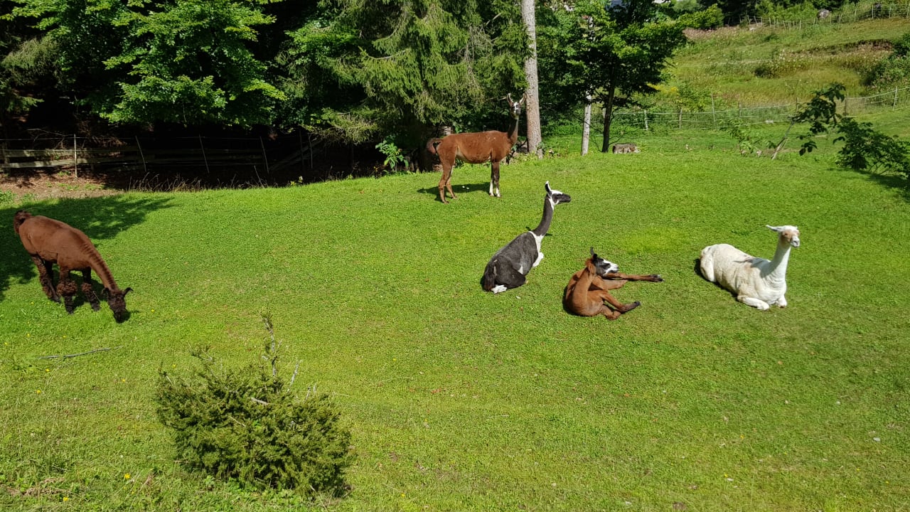 Ausblick Ferienwohnung Faaker See Spitzer Harald
