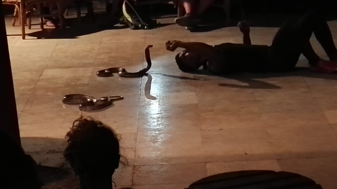 Sport & Freizeit Ghazala Gardens