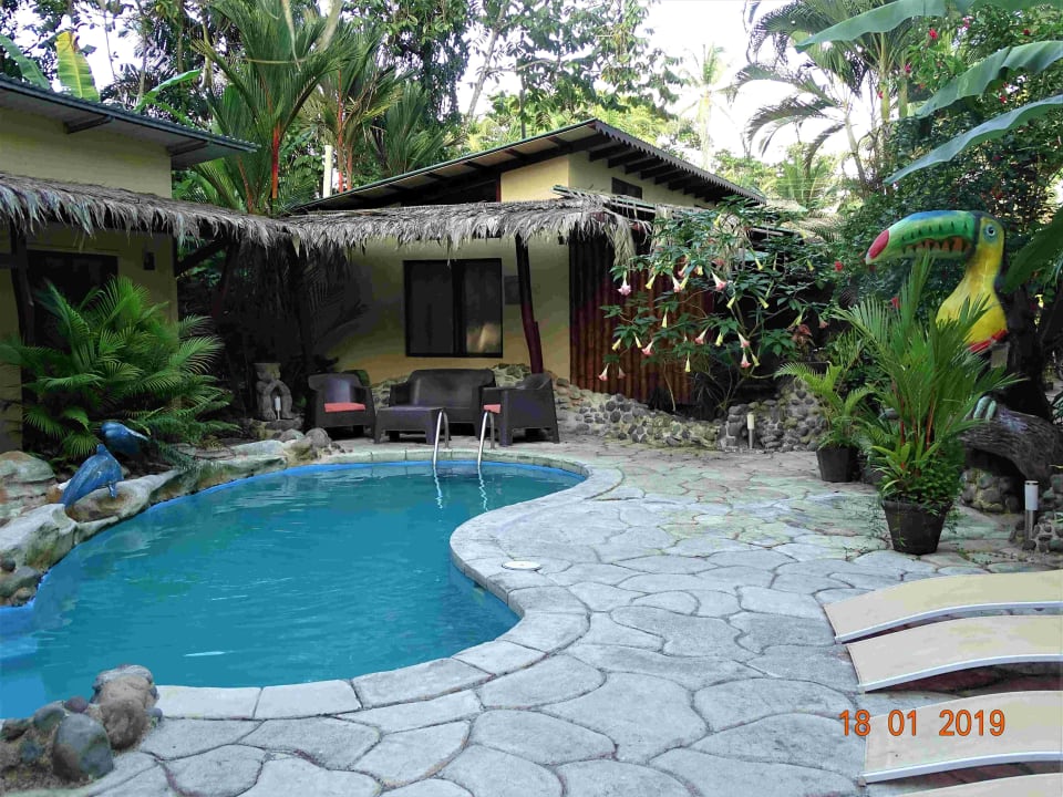 Pool Hotel Caribbean Coconut