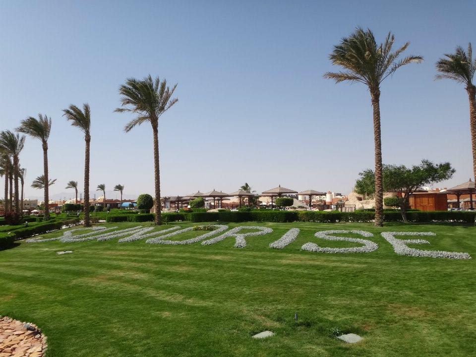 Okoli v resortu SUNRISE Royal Makadi Resort