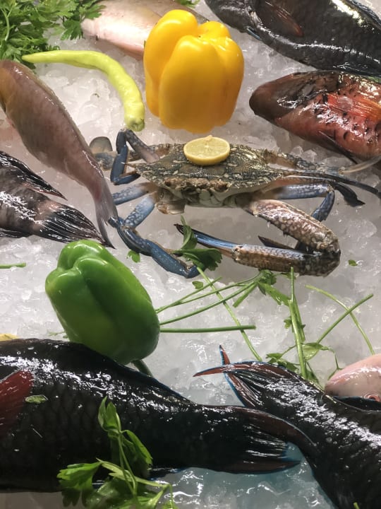 Gastro Pickalbatros Sea World Resort - Marsa Alam