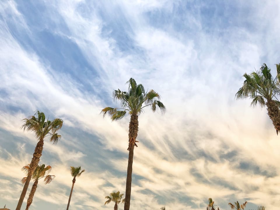 Gartenanlage Valentin Sancti Petri