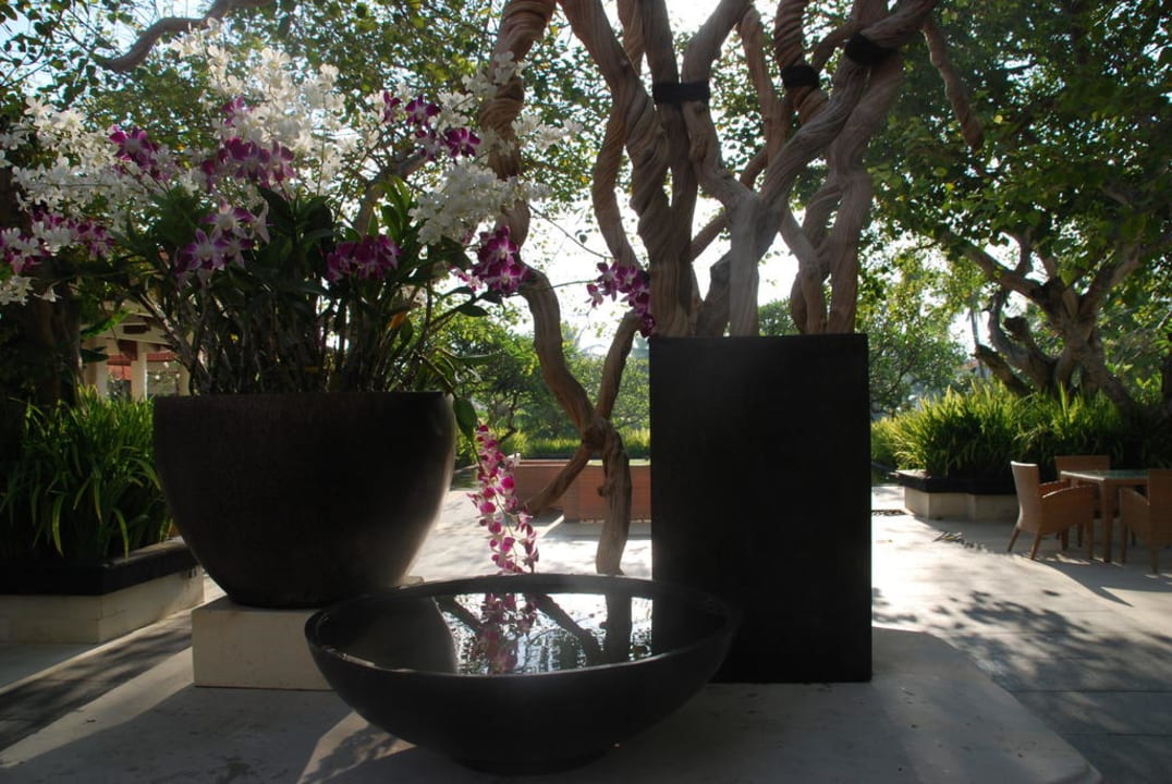 Garten vor der Lobby The Laguna A Luxury Collection Resort & Spa