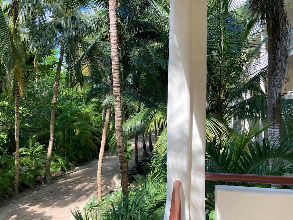 Zimmer Akumal Bay Beach & Wellness Resort