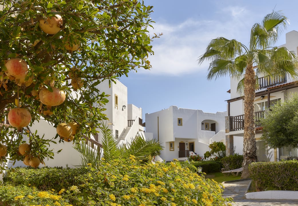 Gartenanlage Alexander Beach Hotel & Village Resort