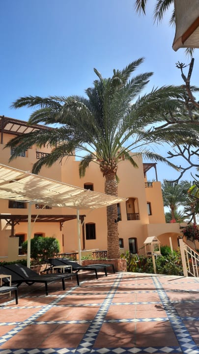 Gartenanlage Steigenberger Coraya Beach - Adults only