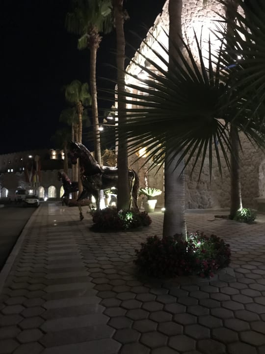 Sonstiges Pickalbatros Citadel Resort