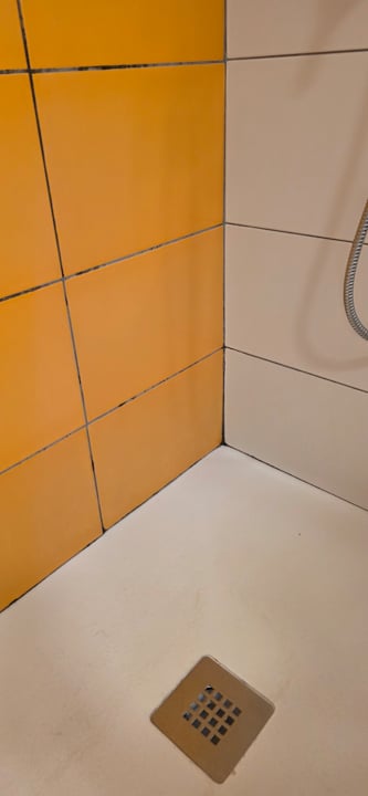 Zimmer Bull Dorado Beach & Spa