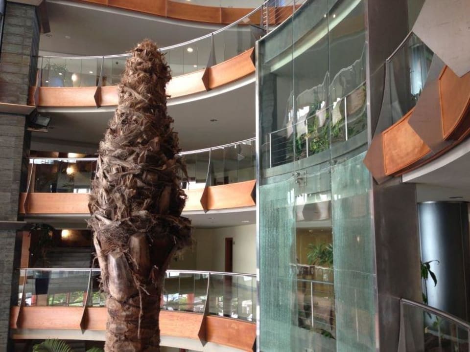 Palme R2 Pajara Beach