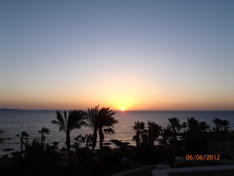 Vom Bett Pickalbatros Citadel Resort