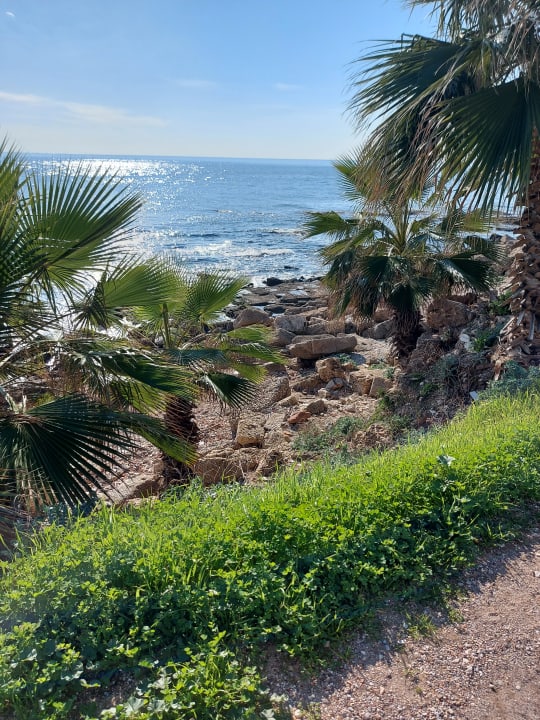 Strand TUI BLUE Xanthe