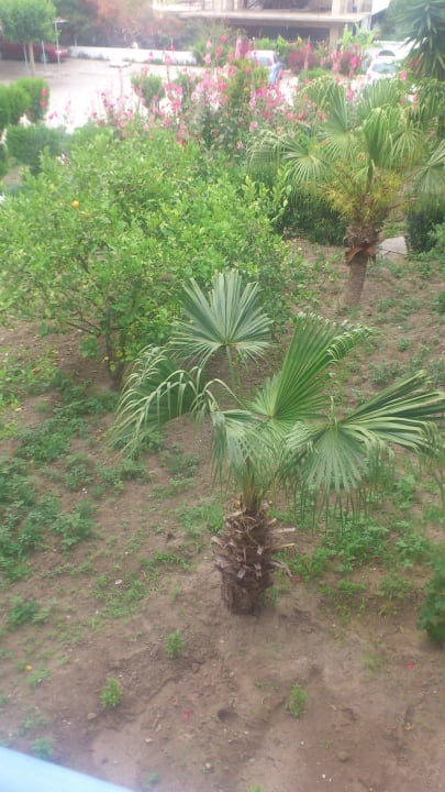 Blick in den Garten Eingangsbereich Hotel Faliraki Bay