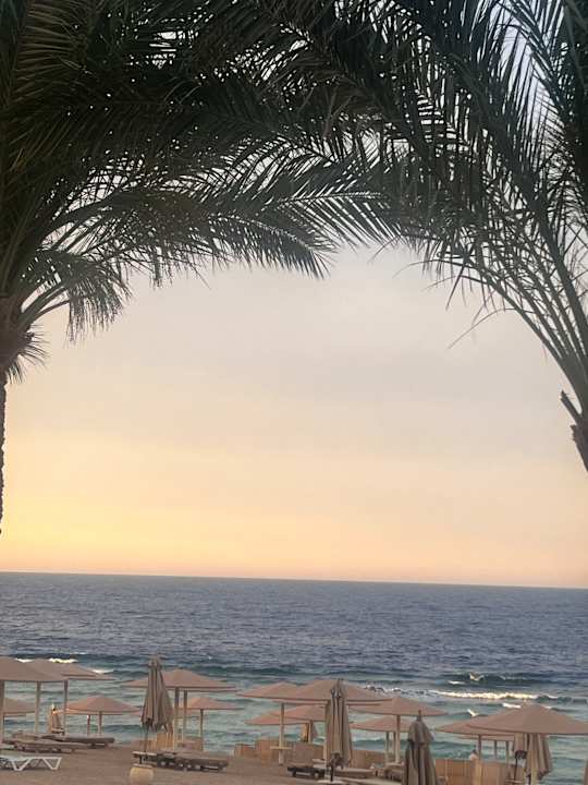 Strand Serenity Alpha Beach