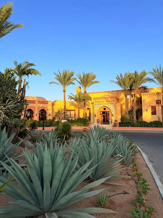 Gartenanlage Steigenberger Coraya Beach - Adults only