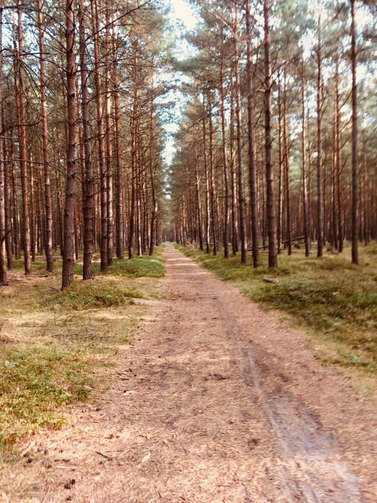 Ausblick Familotel Borchard's Rookhus am See