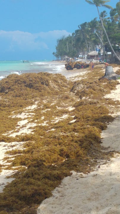 Strand Hotel Grand Palladium Palace Resort, Spa & Casino