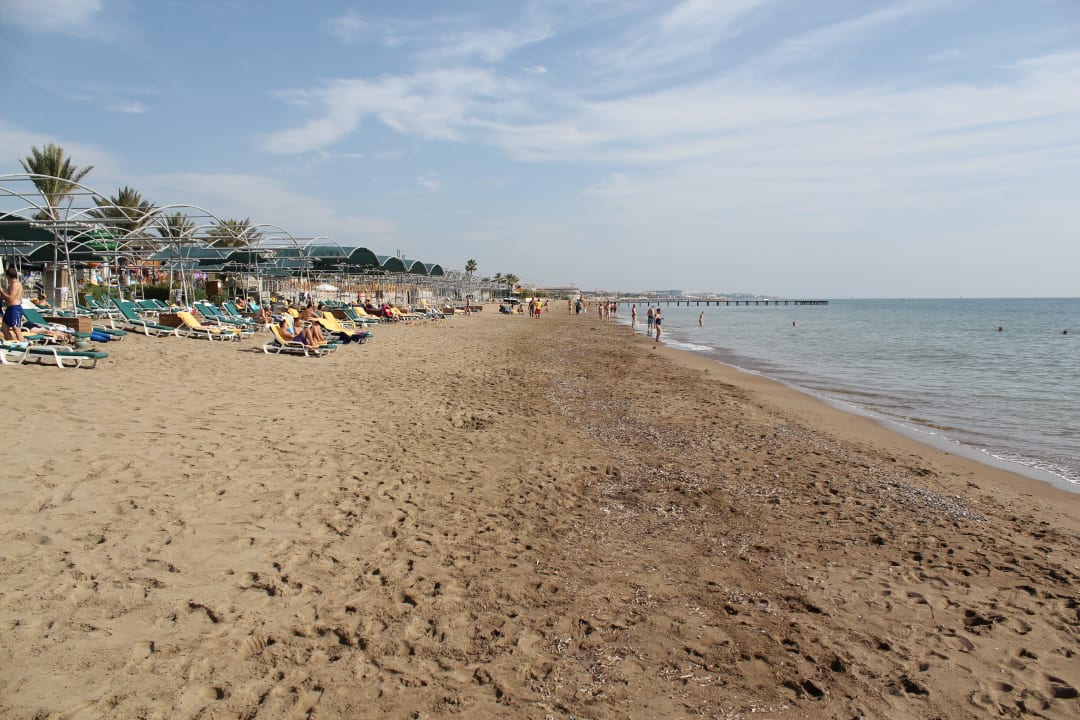 Hotel-Strand Papillon Belvil