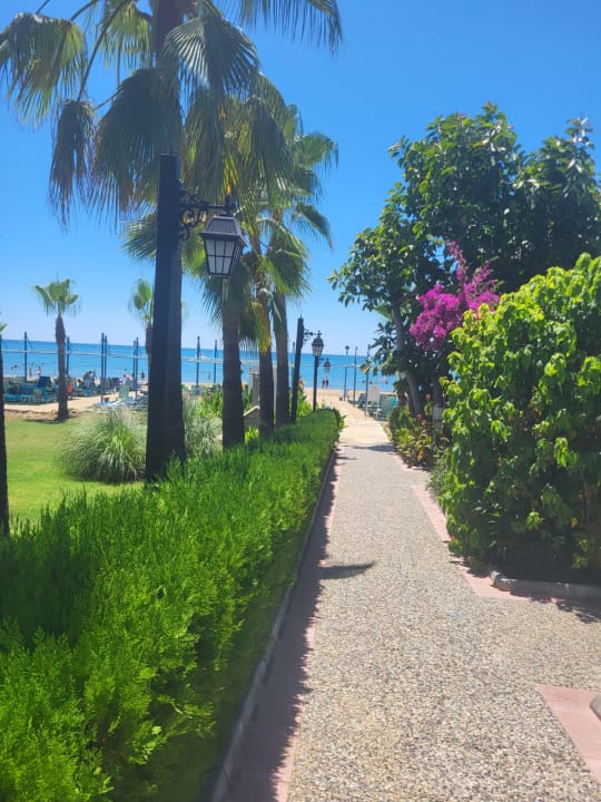 Gartenanlage Iz Flower Side Beach Hotel