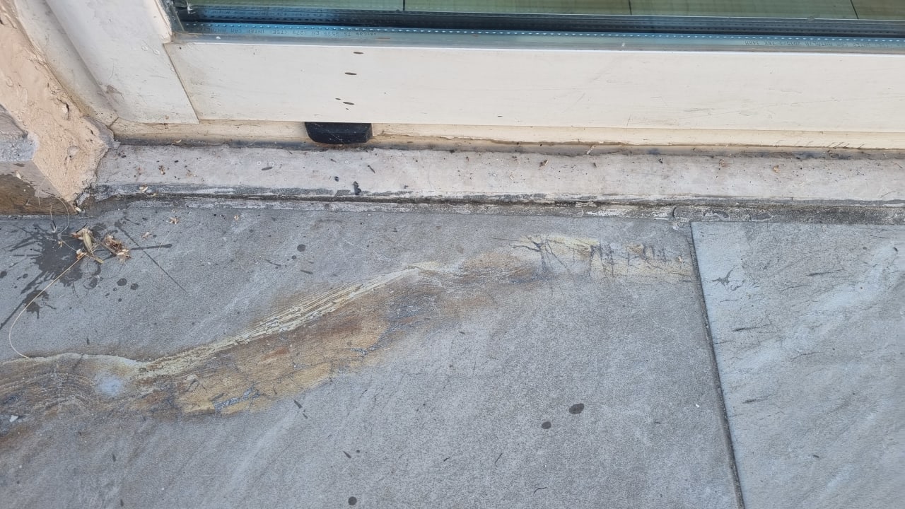 Zimmer Hotel Orfeus Park