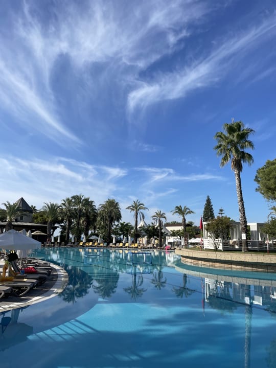 Pool Papillon Ayscha