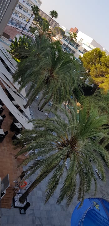 Ausblick Hotel Cosmopolitan