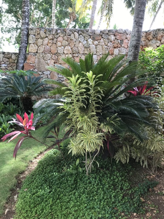 Gartenanlage Hotel Viva Dominicus Beach by Wyndham - All Inclusive Resort