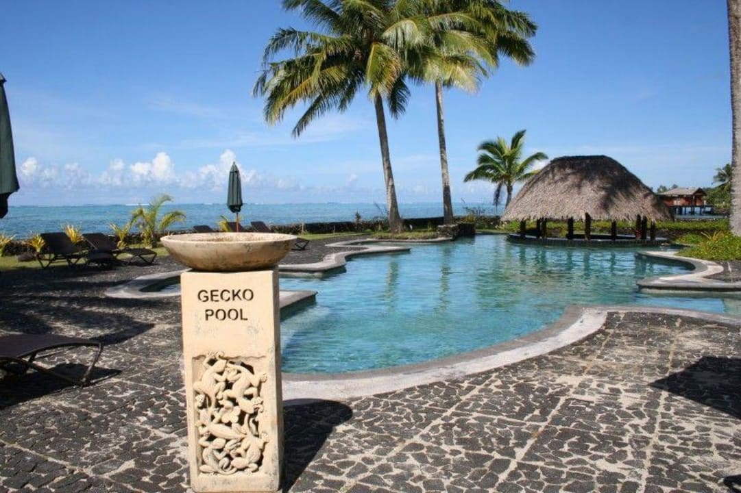 Gecko Pool Hotel Coconuts Beach Club & Resort