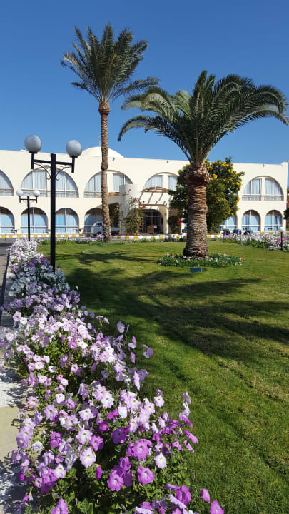 Außenansicht Desert Rose