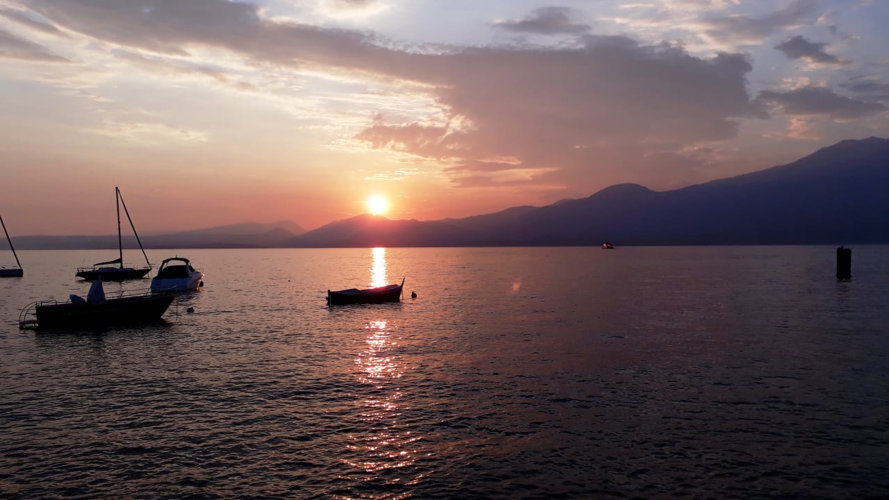 Ausblick Hotel Garden Torri Del Benaco