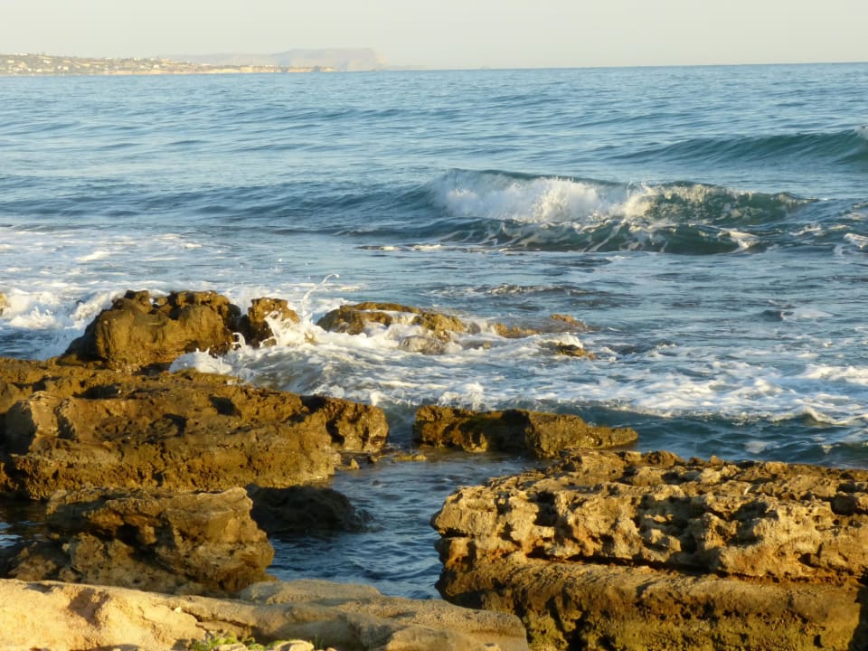 Blick zum Meer Sentido Kyknos Beach Adults Only 16+