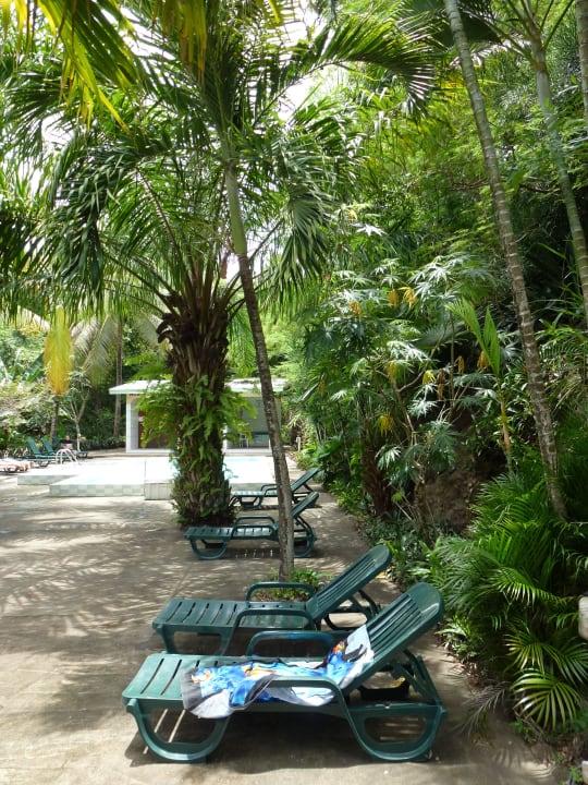 Kleiner Pool mit Liegen Hotel Sunset Bay Club