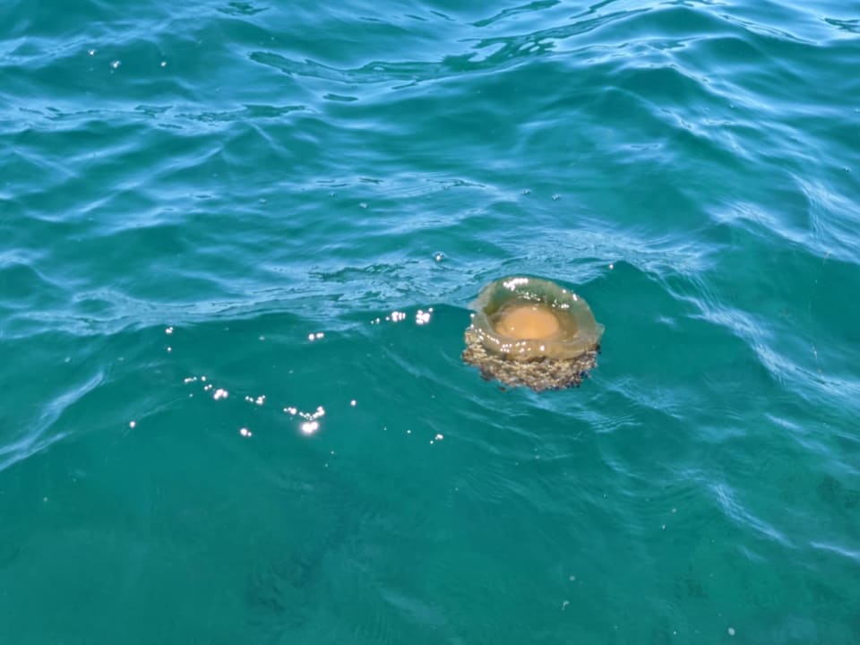 Strand Maistra Camping Valkanela