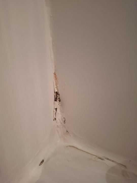 Zimmer Hotel Club Tropicana & Spa