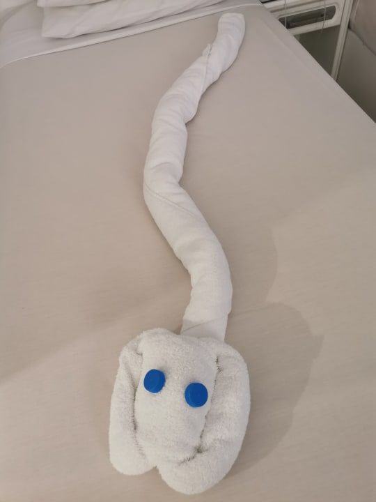 Sonstiges Desert Rose