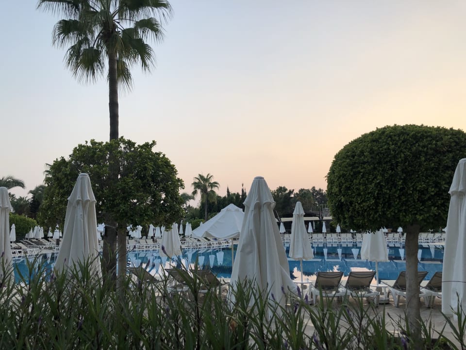 Pool Saphir Resort & Spa