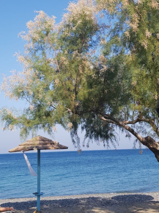 Strand TUI BLUE Oceanis Beach and Spa Resort