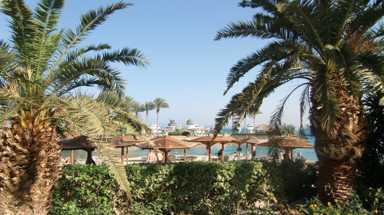 Blick auf den Strand Marriott Hurghada Beach Resort