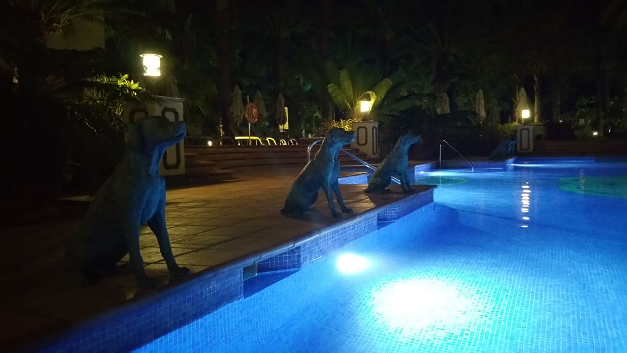 Pool Lopesan Costa Meloneras, Resort & Spa