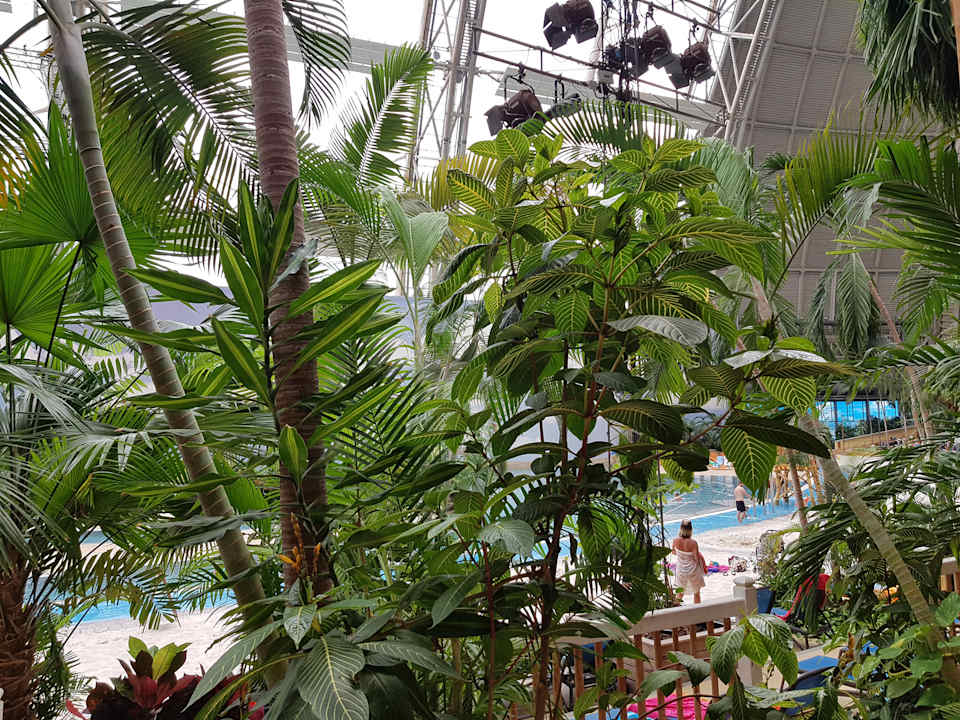 Ausblick Tropical Islands Resort