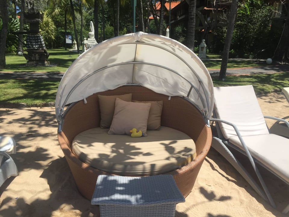 Strandmuscheln am Strand The Westin Resort Nusa Dua, Bali